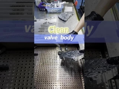 Ventilgehäuse zur Reinigung zerlegen