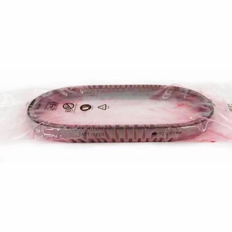 2KG JF017E RE0F10D Getriebe Gurtkette für TEANA X Trail QASHQAI 901074 901089 901096