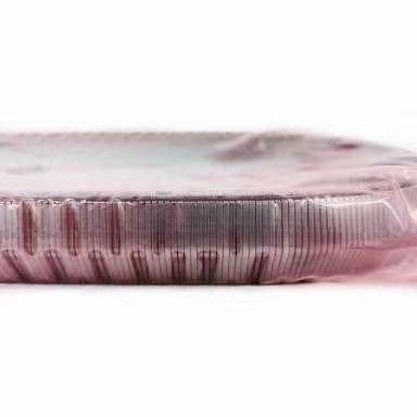 2KG JF017E RE0F10D Getriebe Gurtkette für TEANA X Trail QASHQAI 901074 901089 901096